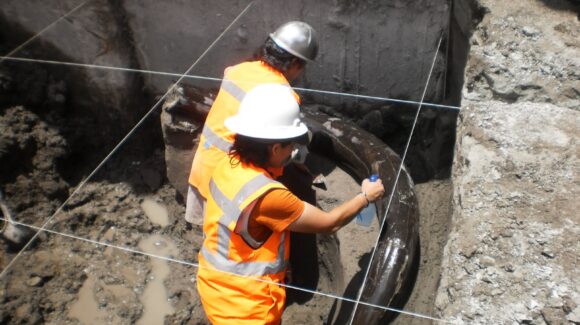 CFE protege patrimonio cultural en zonas de infraestructura eléctrica en México