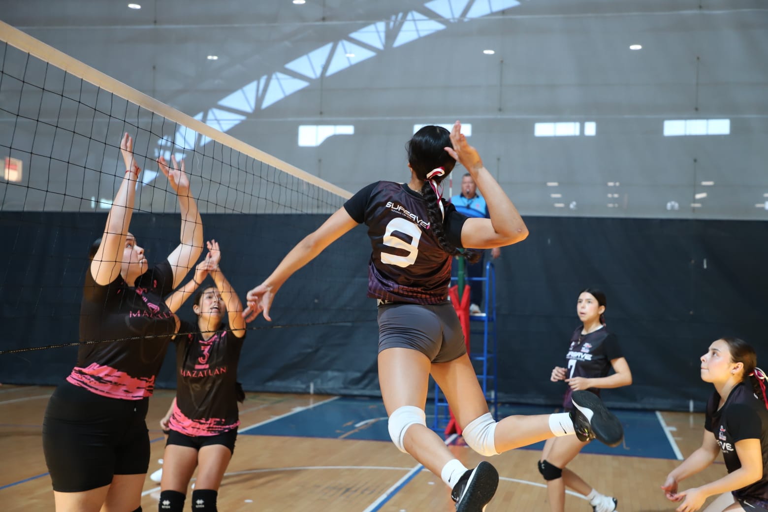 Voleibol de sala