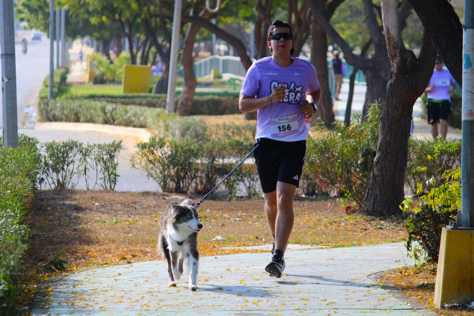 cerca de 240 corredores participaron en la canrrera mazatlan 2026