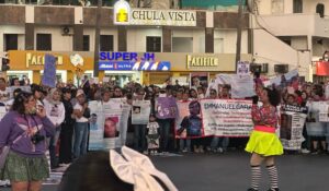Marcha 8M