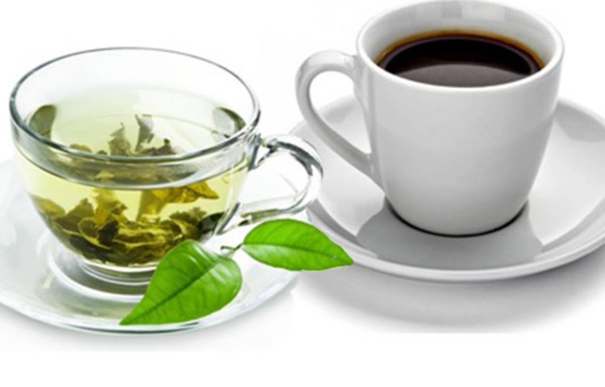Café y té. Tan diferentes, tan iguales