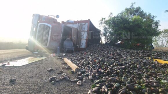 ¡La neblina fue la causante! Vuelca torton cargado de chile poblano en la Laguna Colorada de Culiacán