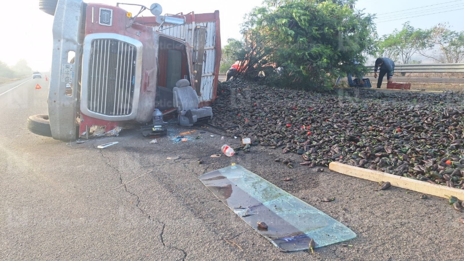 El camión quedó sobre su costado izquierdo, perdiendo toda la carga