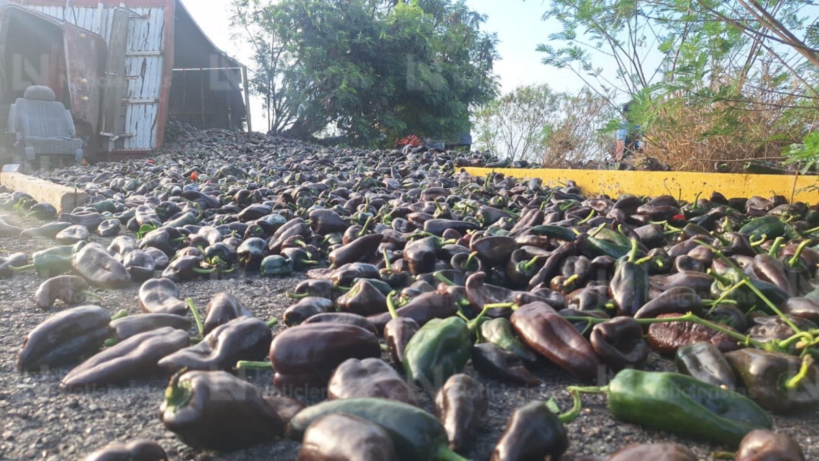 El camión quedó sobre su costado izquierdo, perdiendo toda la carga