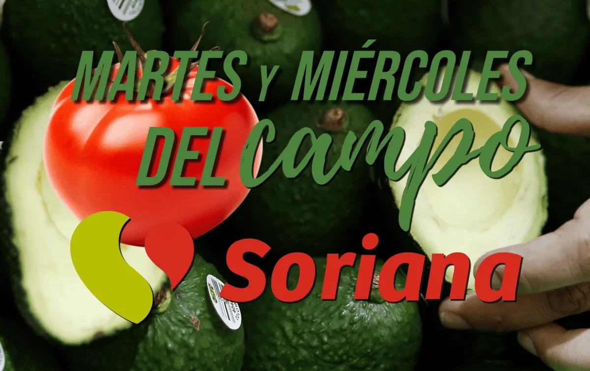 Martes y Miércoles de Campo 14