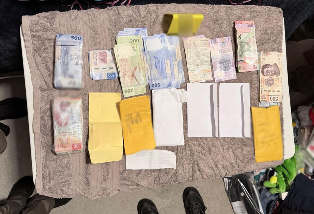 Nueve detenidos en cinco cateos simultáneos en CDMX y Edomex 1