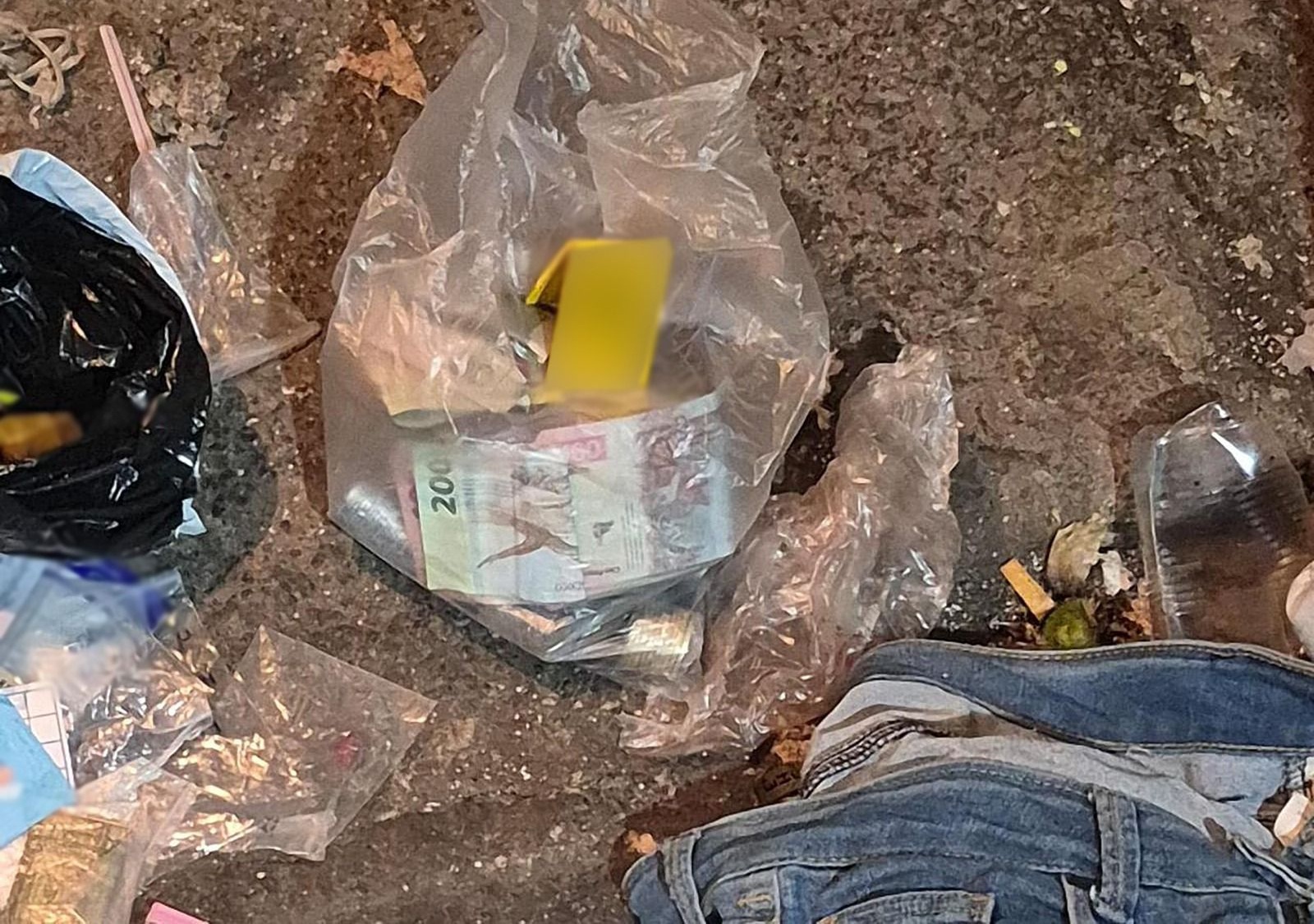 Nueve detenidos en cinco cateos simultáneos en CDMX y Edomex 1