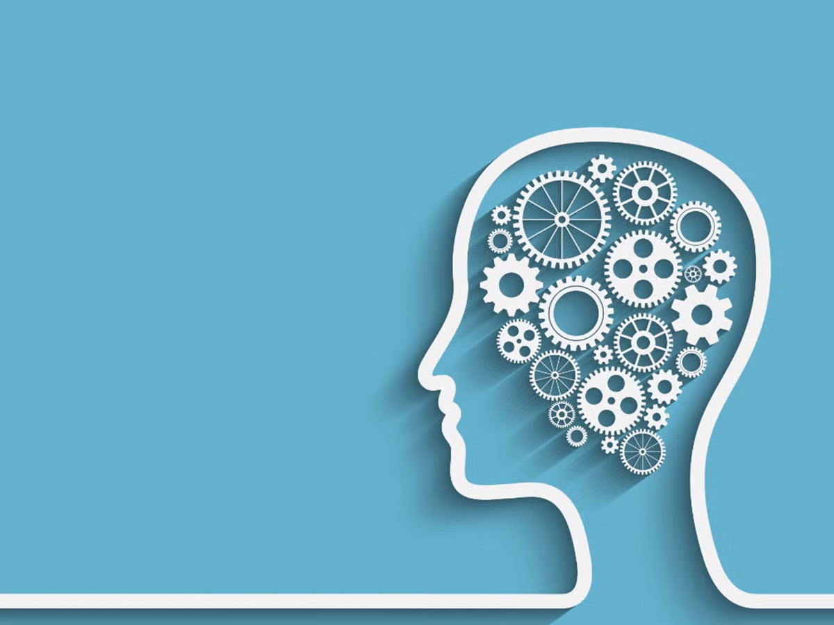 Tipos de inteligencia