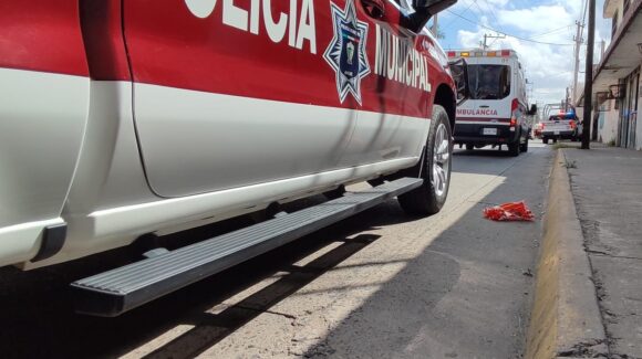 Un perrito sin vida y un motociclista lesionado el saldo de un accidente en la colonia Anáhuac de Los Mochis, Sinaloa