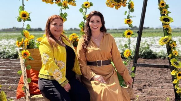 “Ahome Florece, la Ruta del Girasol”, estará lista para los meses de abril o mayo