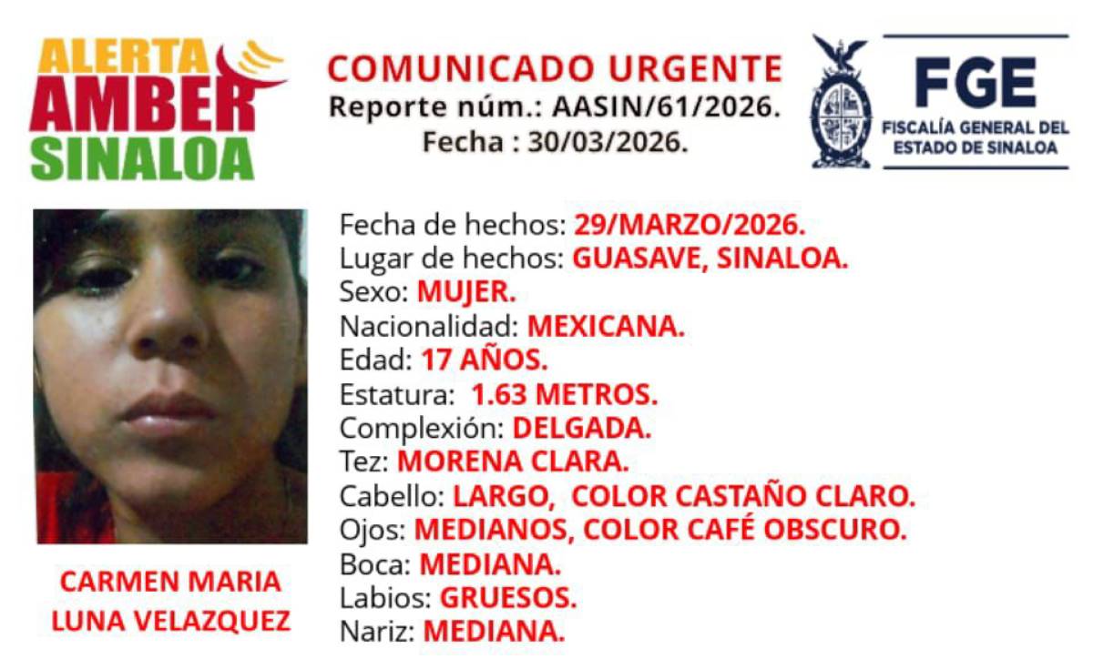 Alerta Amber de Carmen María Luna Velázquez