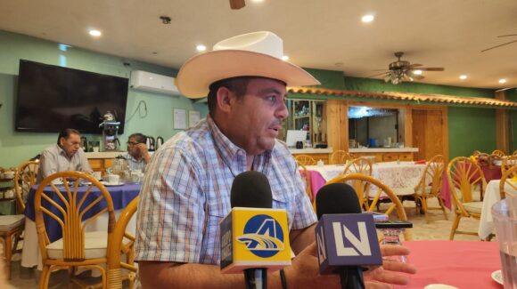 Hasta 30% de frijoleros sinaloenses dejarían de sembrar por falta de rentabilidad: CNC