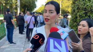 ana francis chiquete elizalde semujeres