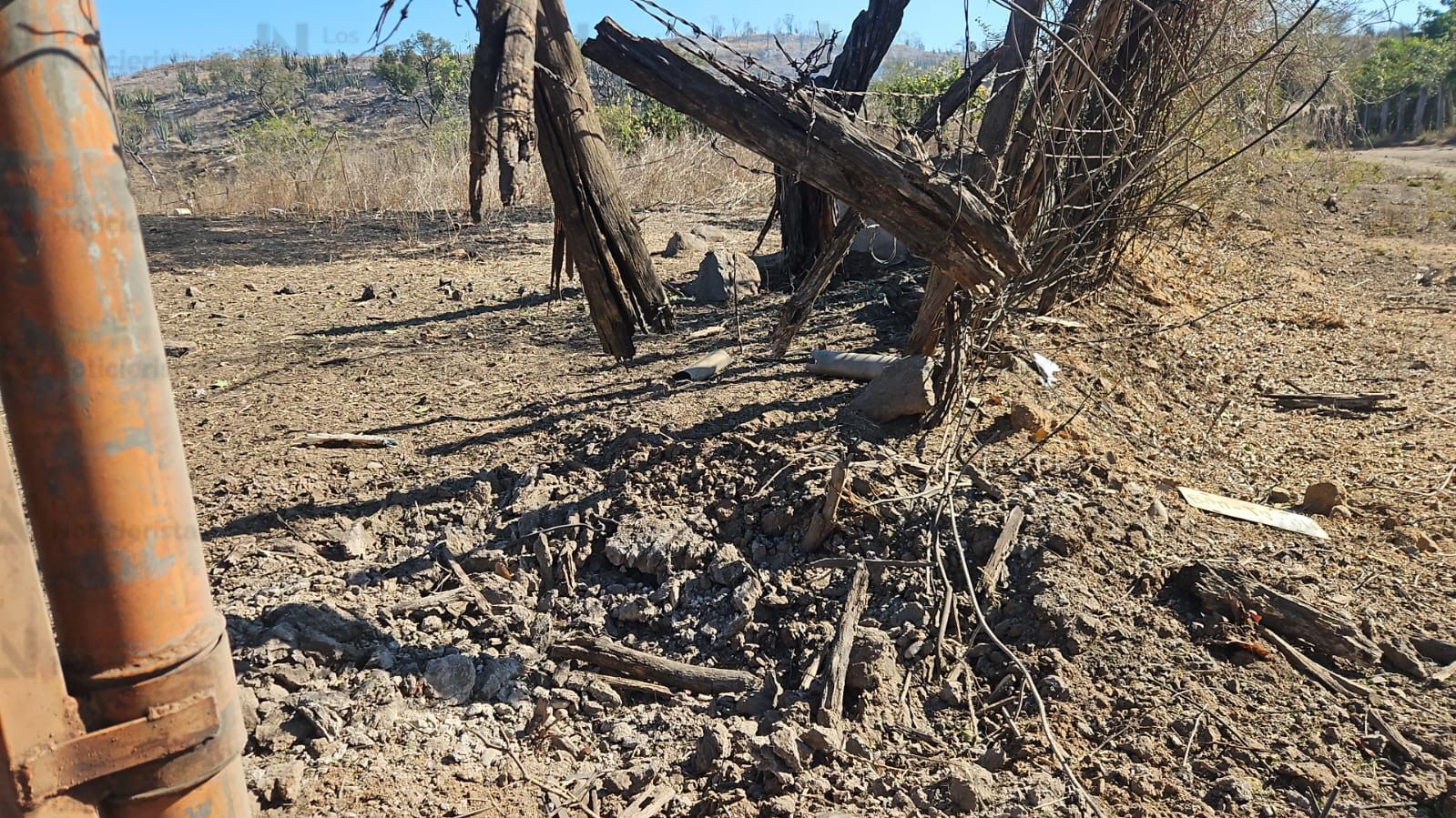 Árboles destruidos por las explosiones