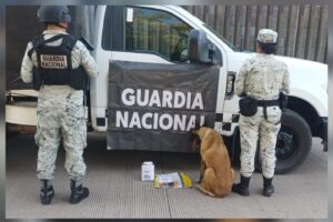 Asegurado en paquetería de Culiacán