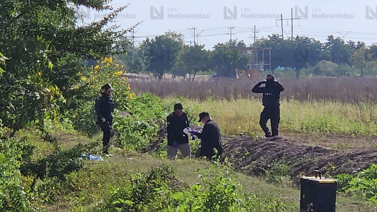 Encuentran asesinado a un hombre en Navolato