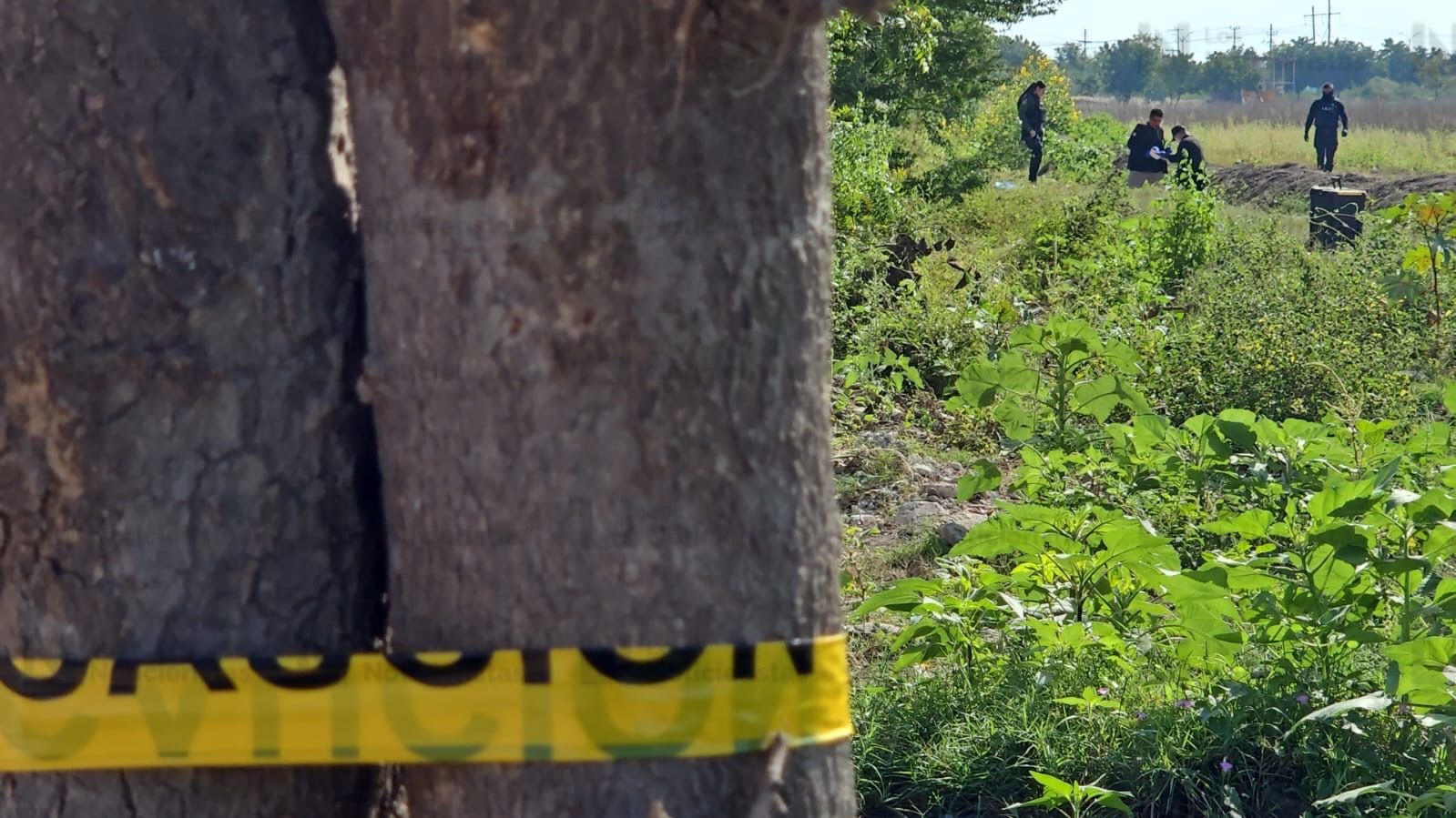 Encuentran asesinado a un hombre en Navolato