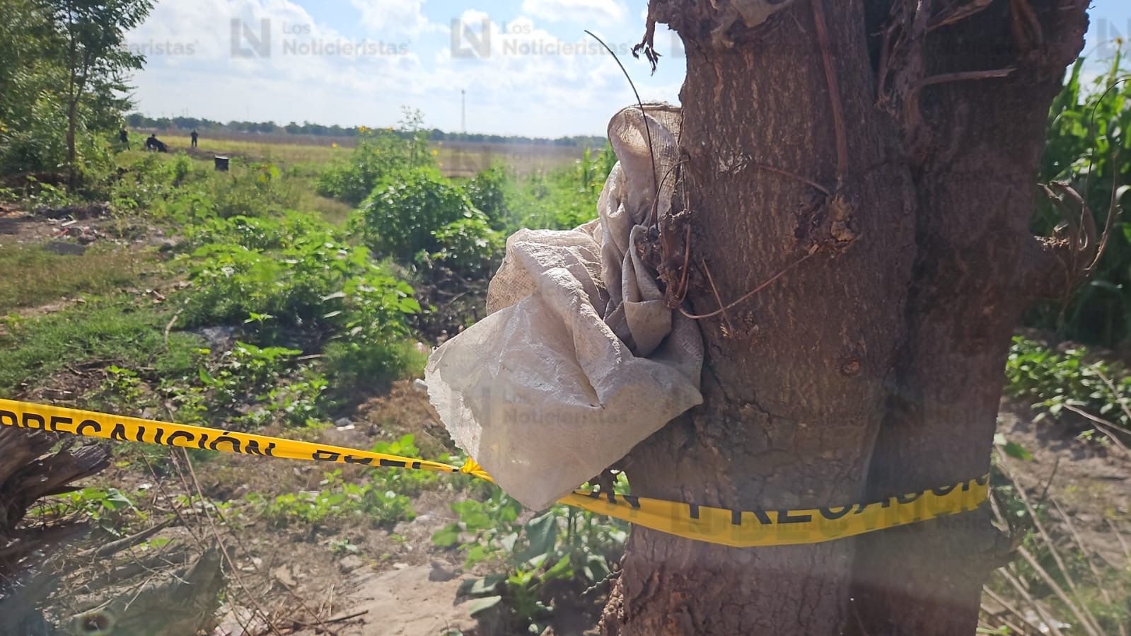 Encuentran asesinado a un hombre en Navolato