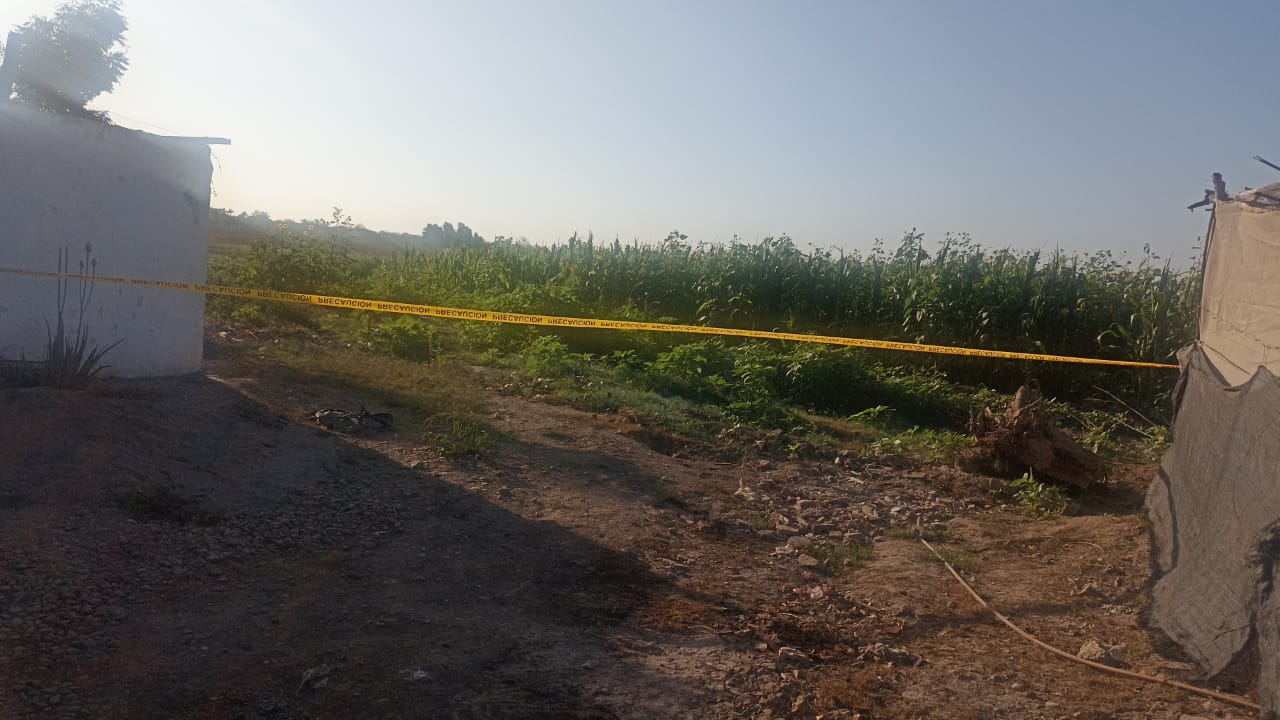 Encuentran asesinado a un hombre en Navolato