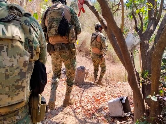 autoridades federales aseguraron explosivos y drogas en el sur de sinaloa