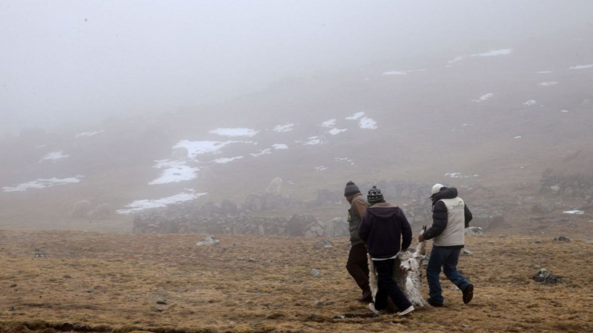 bajan las temperaturas en la sierra y valle de sinaloa