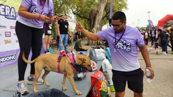 Barby Fernanda: la perrita que hizo rescatista a Lilián Álvarez, en Guasave, Sinaloa y es sensación en redes