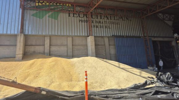 Oferta del gobierno federal sin satisfacer a productores del maíz, mantienen la lucha de negociación en Sader