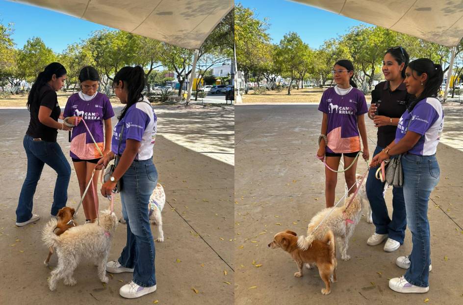 brianda cuevas acompañada de su hija diana lin y sus perritas sasin saby y bonnie fueron protagonistas de la canrrera mazatlan 2026
