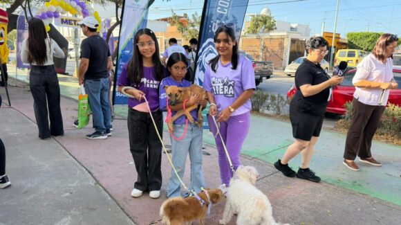 ‘Ellas corrieron con el corazón’ | Rescatistas y sus perritas brillaron en la Canrrera 2026 de Mazatlán, Sinaloa