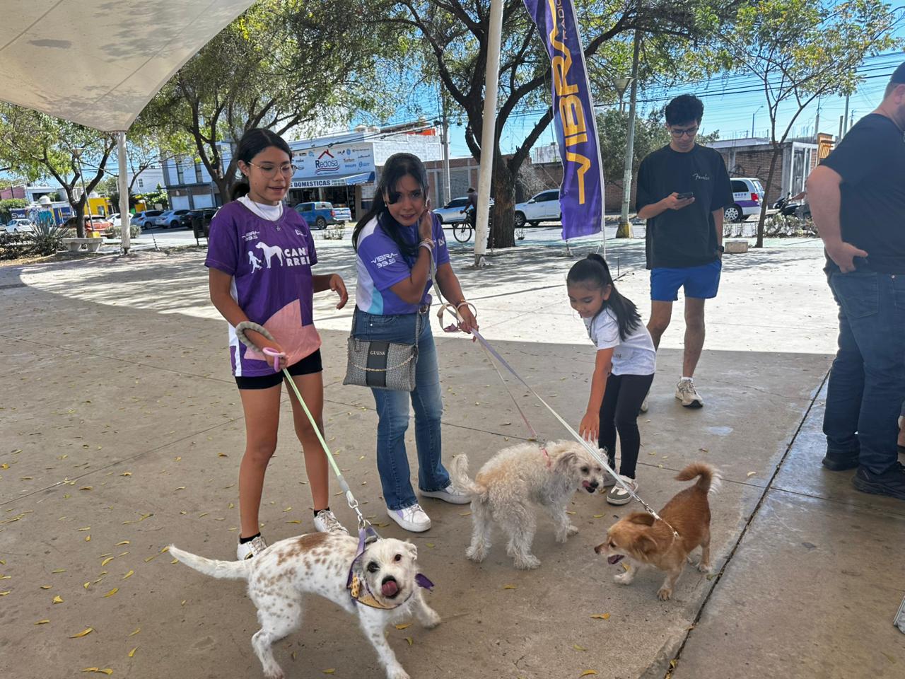 brianda cuevas acompañada de su hija diana y sus perritas sasin saby y bonnie fueron protagonistas de la canrrera mazatlan sinaloa 2026