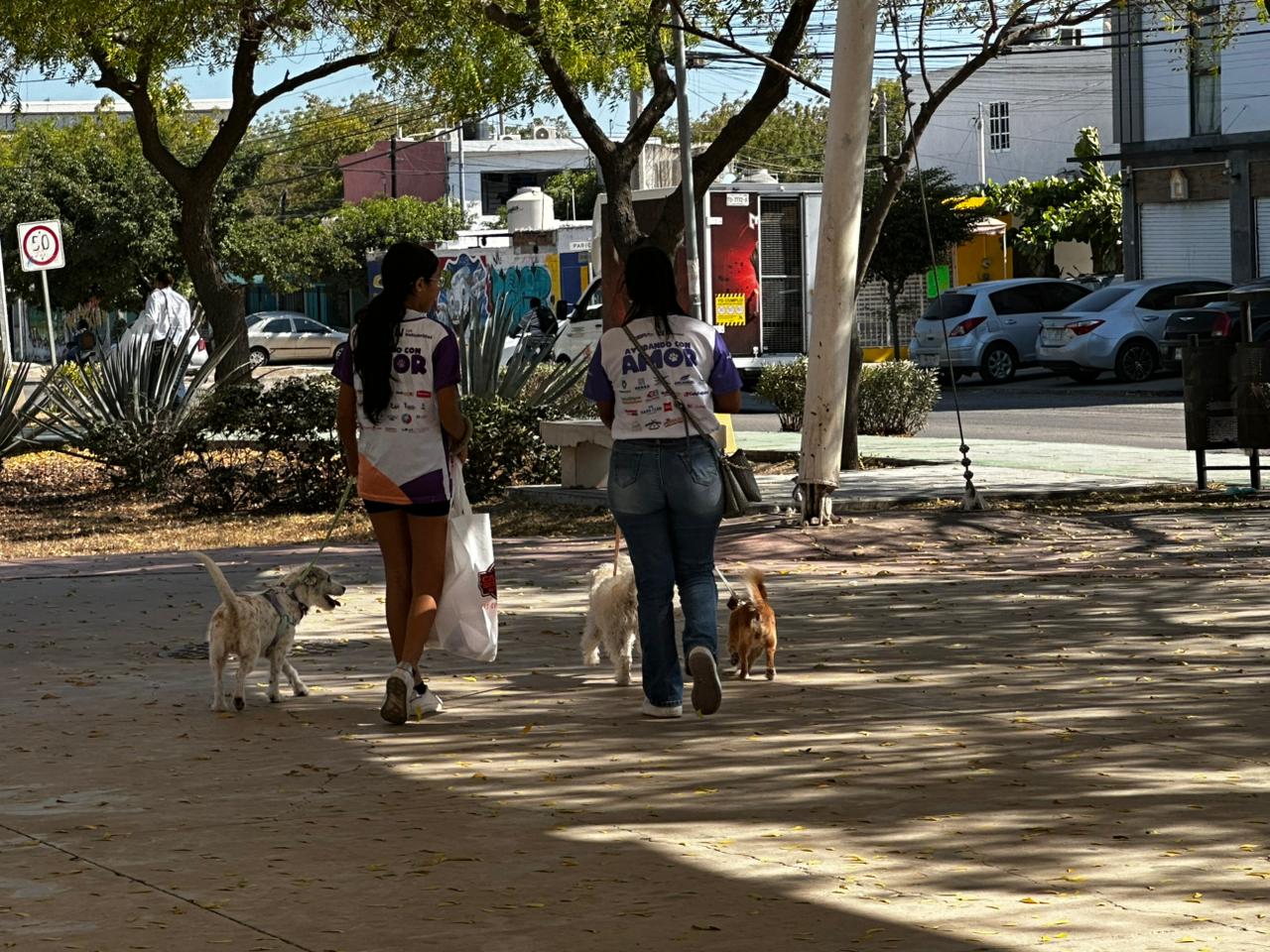 brianda cuevas acompañada de su hija diana y sus perritas sasin saby y bonnie fueron protagonistas de la canrrera mazatlan sinaloa 2026