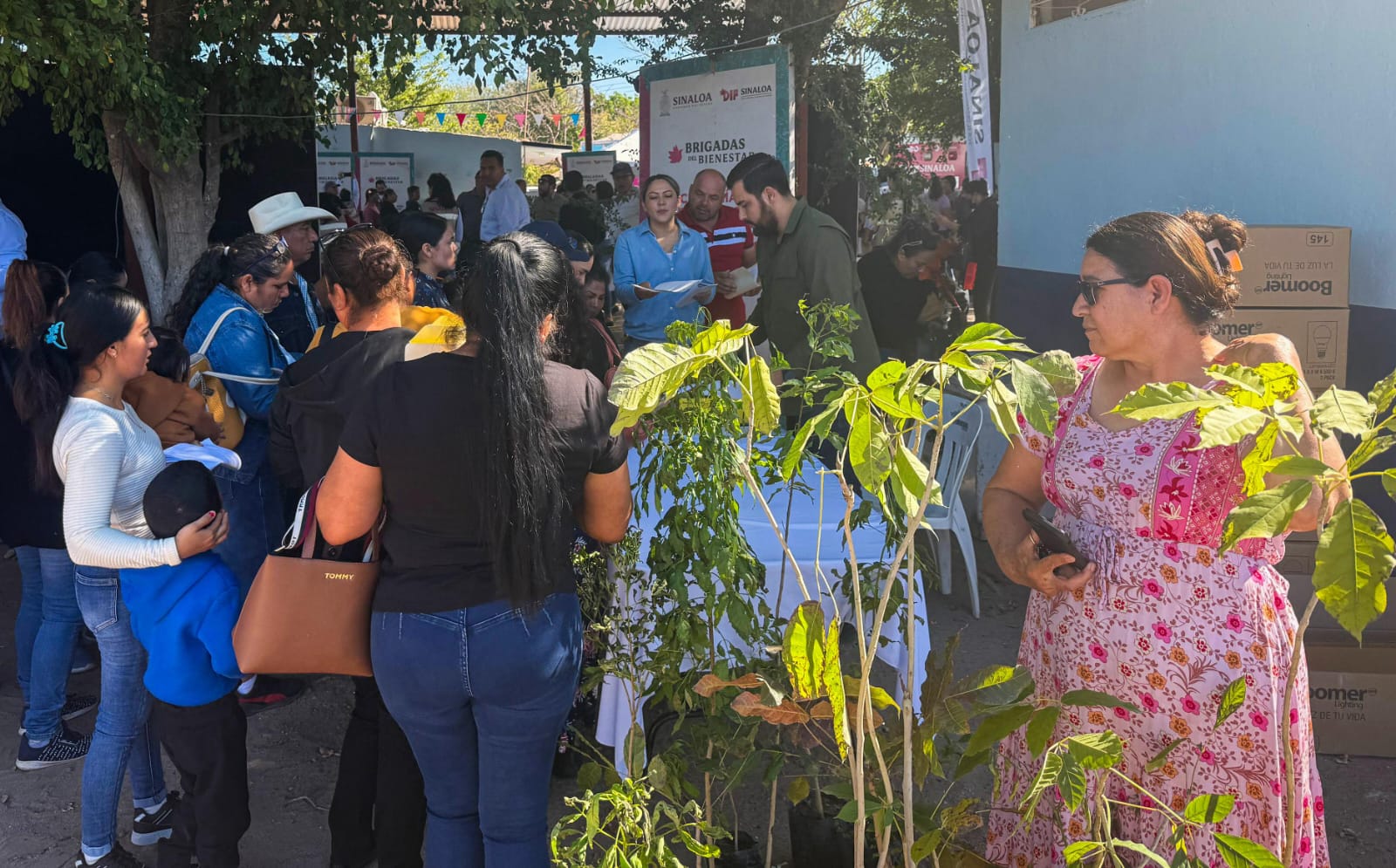 Brigada del Bienestar en Sinaloa de Leyva