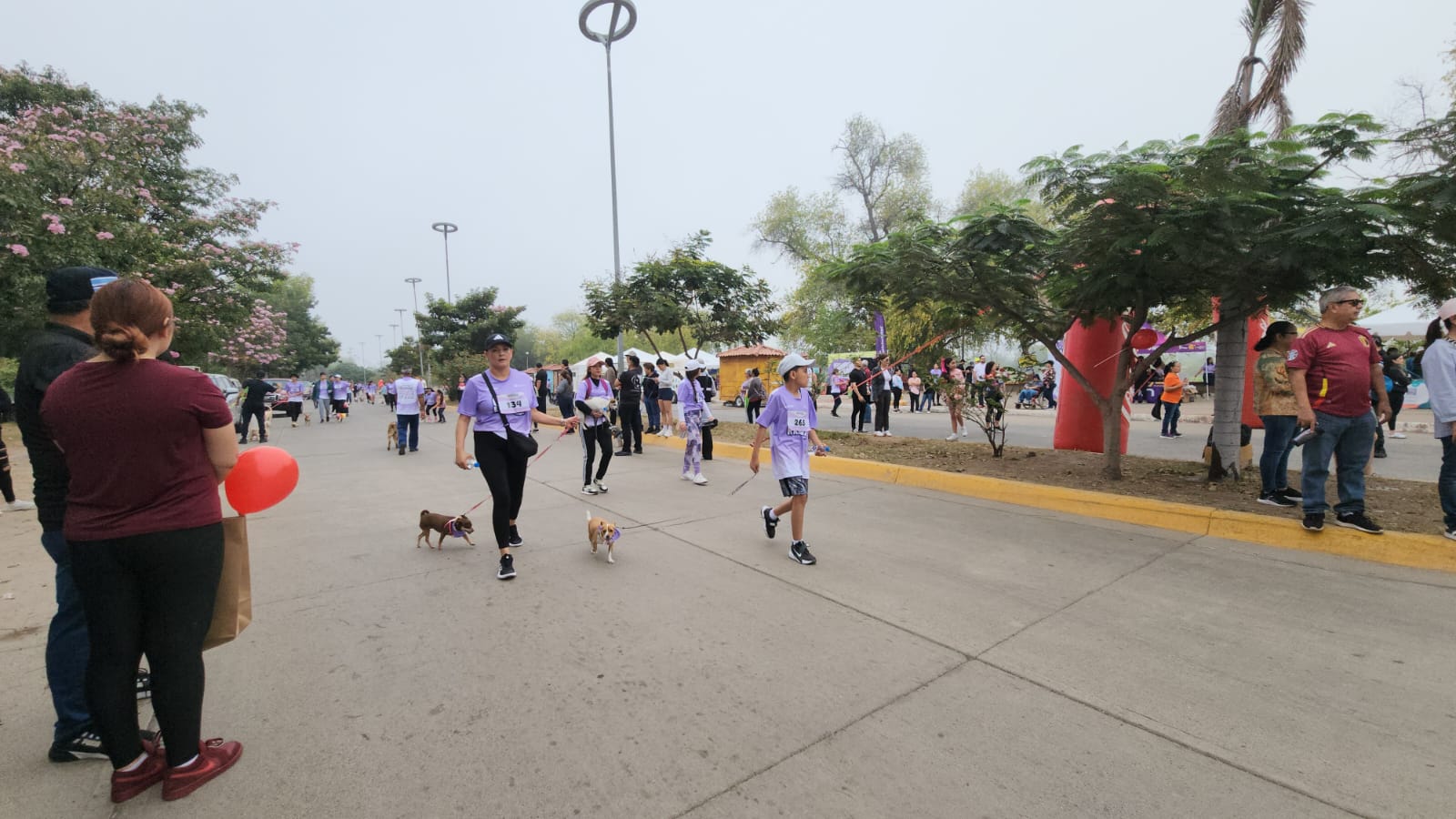 Canrrera Guasave 2026