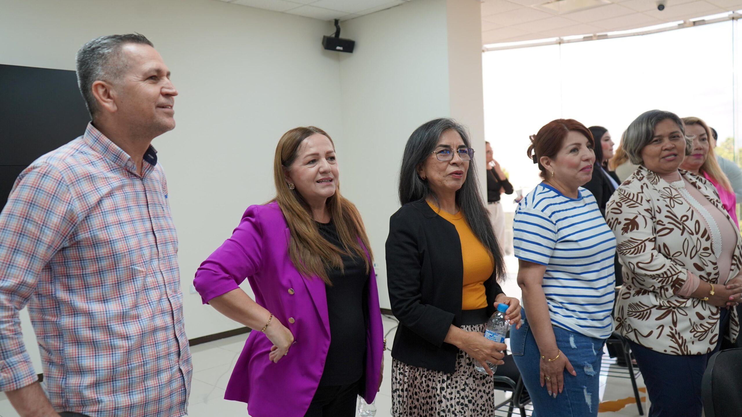 Capacitación a Abogadas Violetas por el STJE
