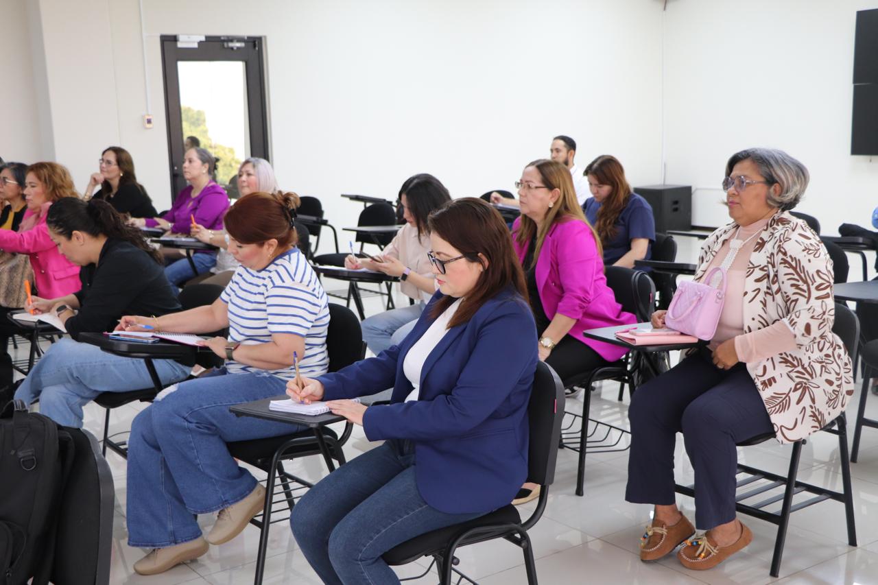 Capacitación a Abogadas Violetas por el STJE