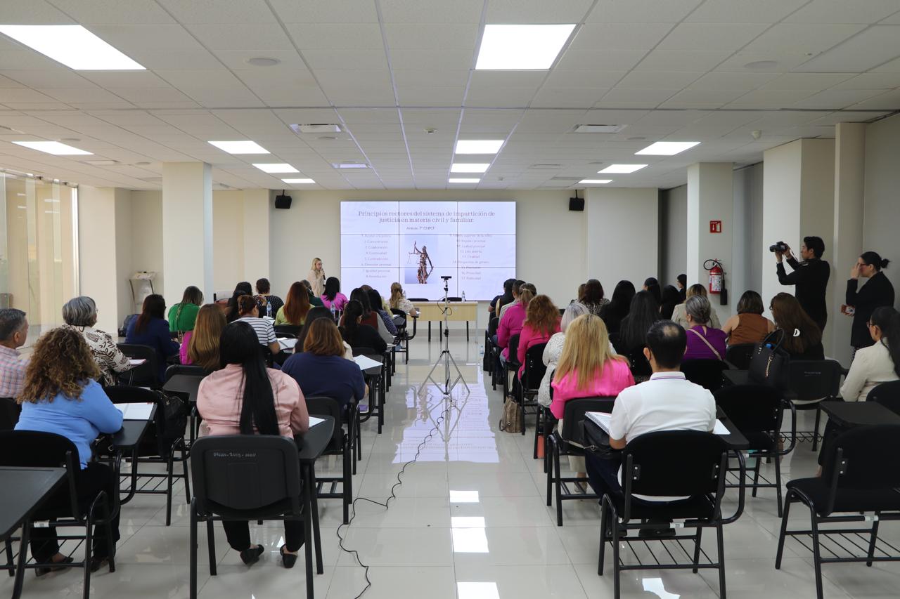 Capacitación a Abogadas Violetas por el STJE