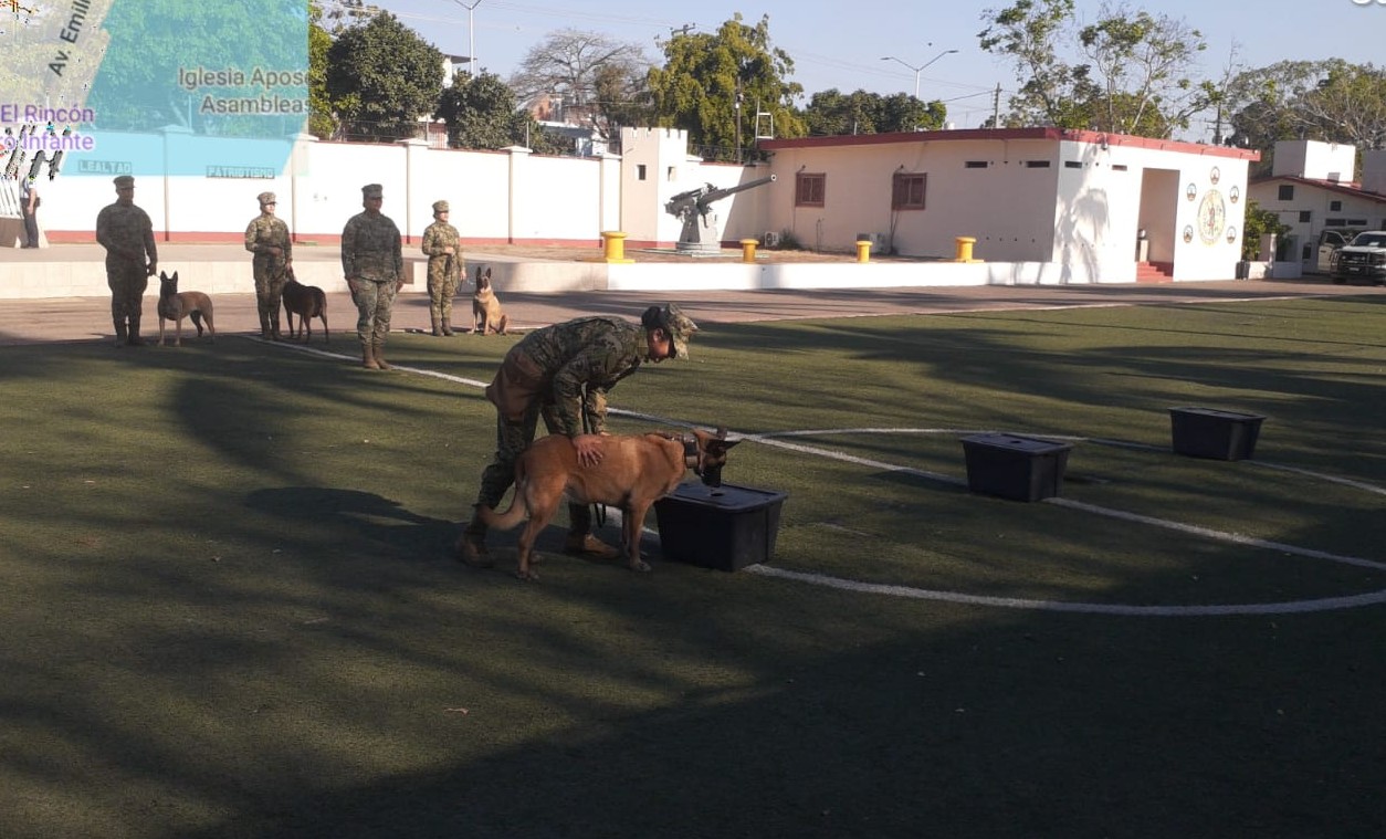 Ceremonia de retiro de perra entregando en búsqueda de narcóticos en Cuarta Zona Naval en Mazatlán