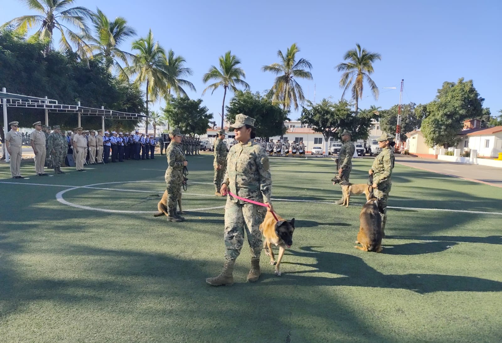 Ceremonia de retiro de perra entregando en búsqueda de narcóticos en Cuarta Zona Naval en Mazatlán