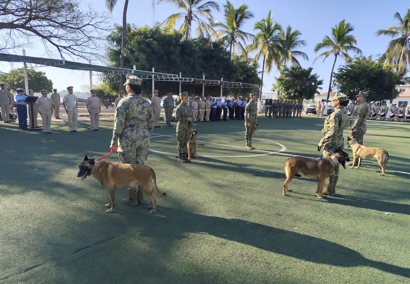 Ceremonia de retiro de perra entregando en búsqueda de narcóticos en Cuarta Zona Naval en Mazatlán