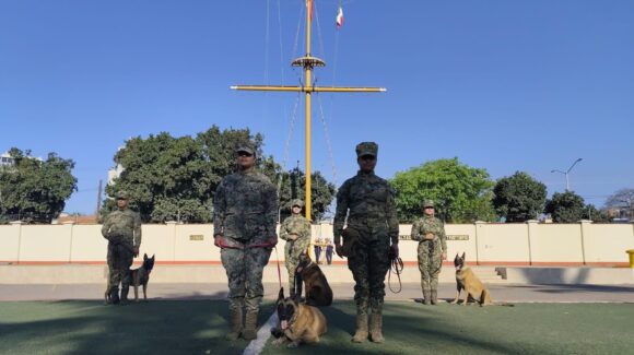 Gaia se despide con honores; la Armada de México rinde tributo a su heroína canina en Mazatlán, Sinaloa