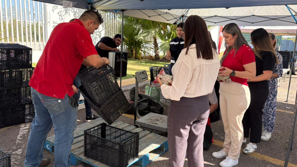 colecta de alimentos semana del hambreton en culiacan ayuda