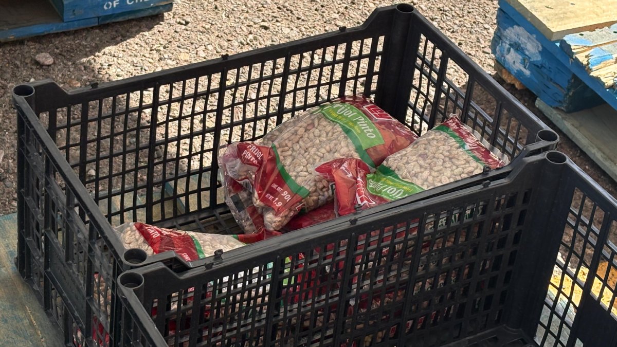 colecta de alimentos semana del hambreton en culiacan despensa