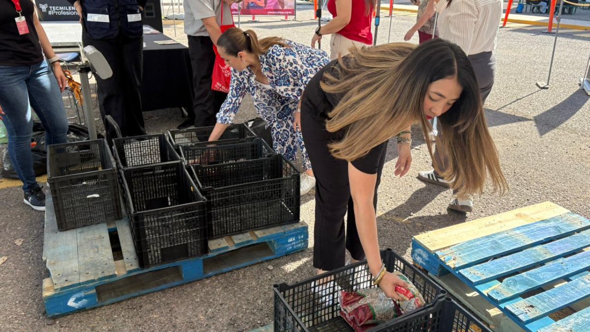 colecta de alimentos semana del hambreton en culiacan despensas
