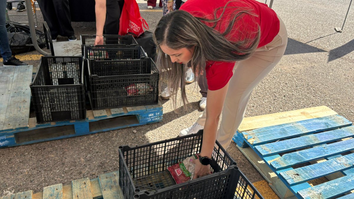 colecta de alimentos semana del hambreton en culiacan sin