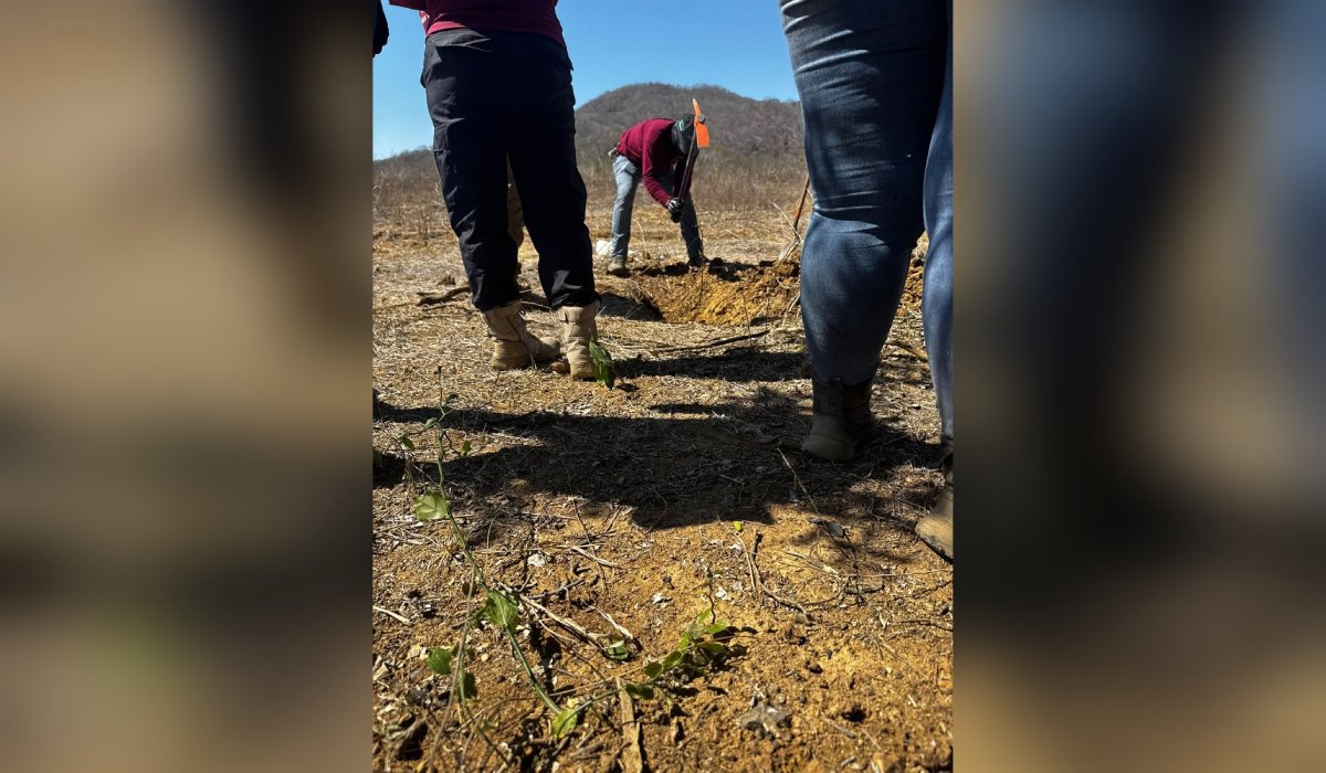 Colectivo localiza un cuerpo en una fosa en El Verde, Concordia