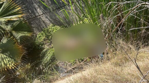 Hallan a indigente sin vida en canal de Mazatlán, Sinaloa; autoridades investigan causas