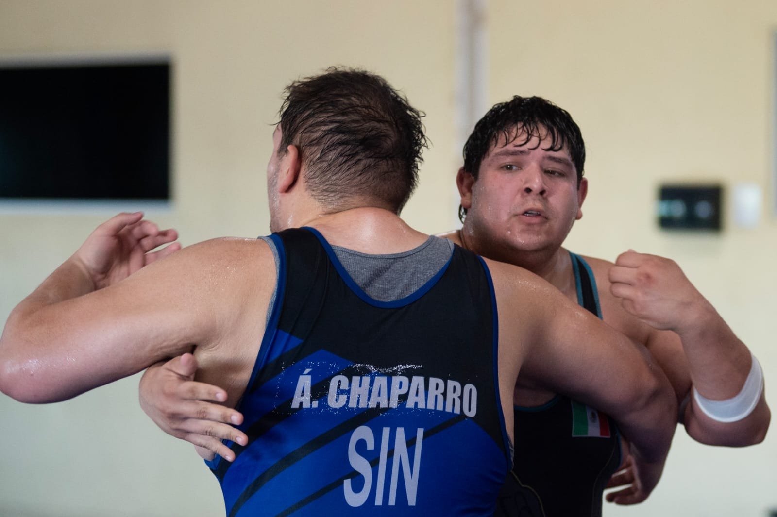 Talento sinaloense