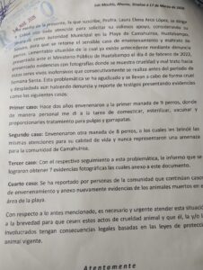 Documento