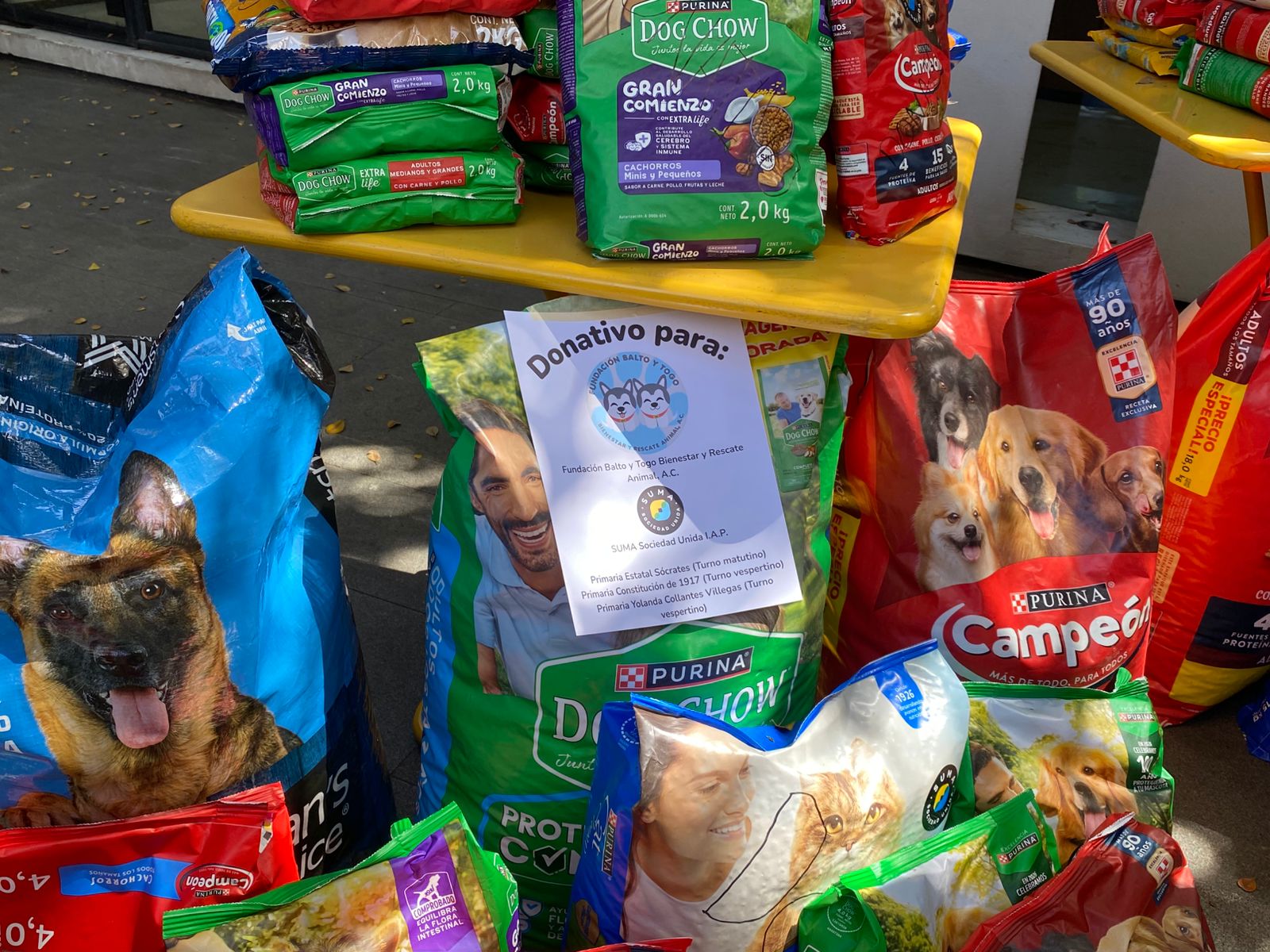 Alimento para animales
