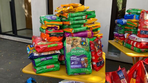 ¡“Misión Croqueta” cumplida!; fundaciones Balto y Togo y Laika reciben donativo de 320 kg. de alimento para sus animalitos